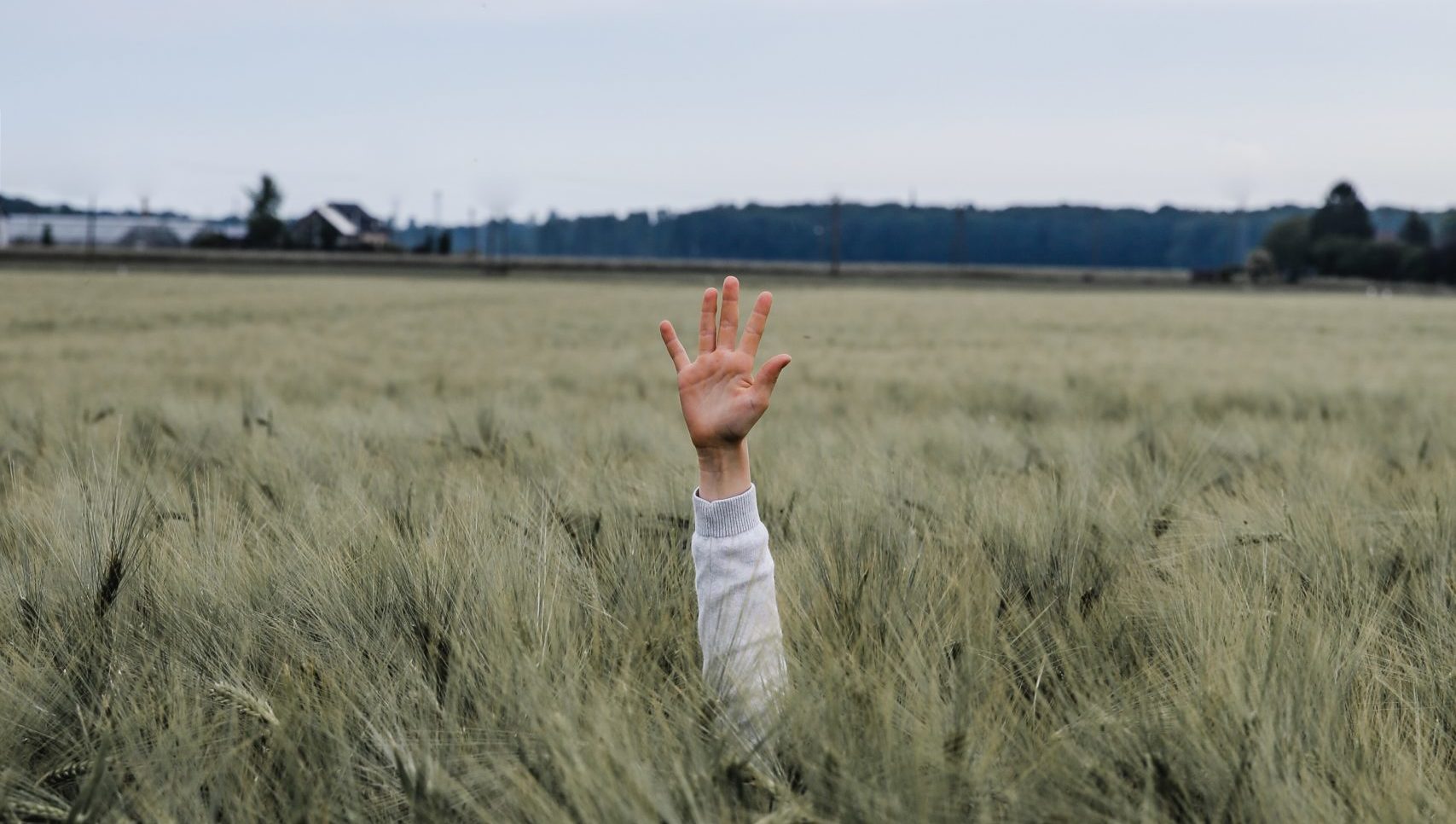 person hand on grass land